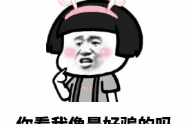 阳光车贷上门催收：揭秘贷款逾期后的真实情况