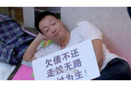 招行催收要银行流水：解读与指南