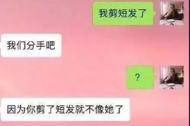 暴力催收找哪些部门？了解应对与解决途径