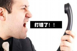 律师如何协助您成功讨回债务：法律助力，保障您的权益